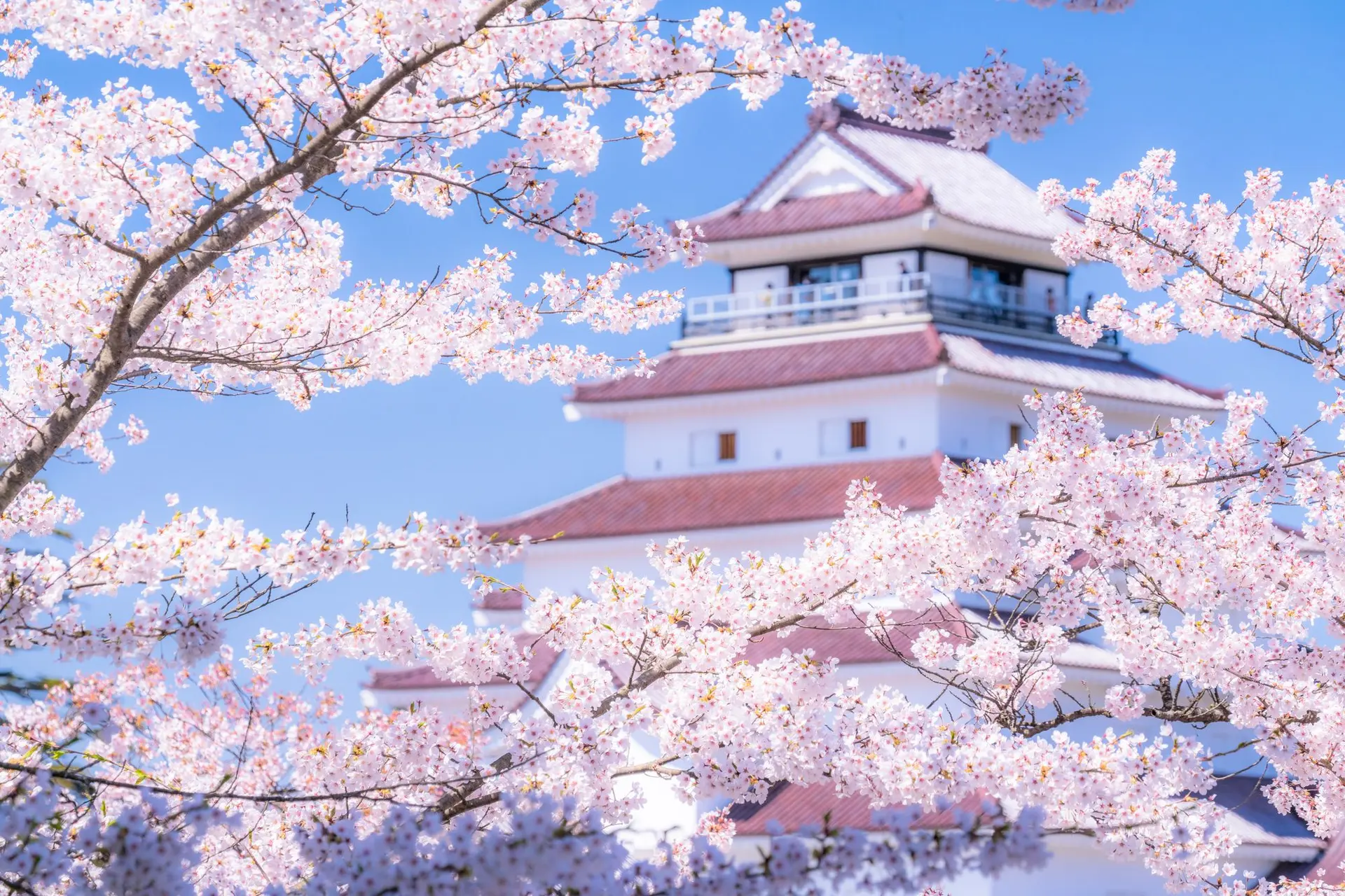 Aizuwakamatsu