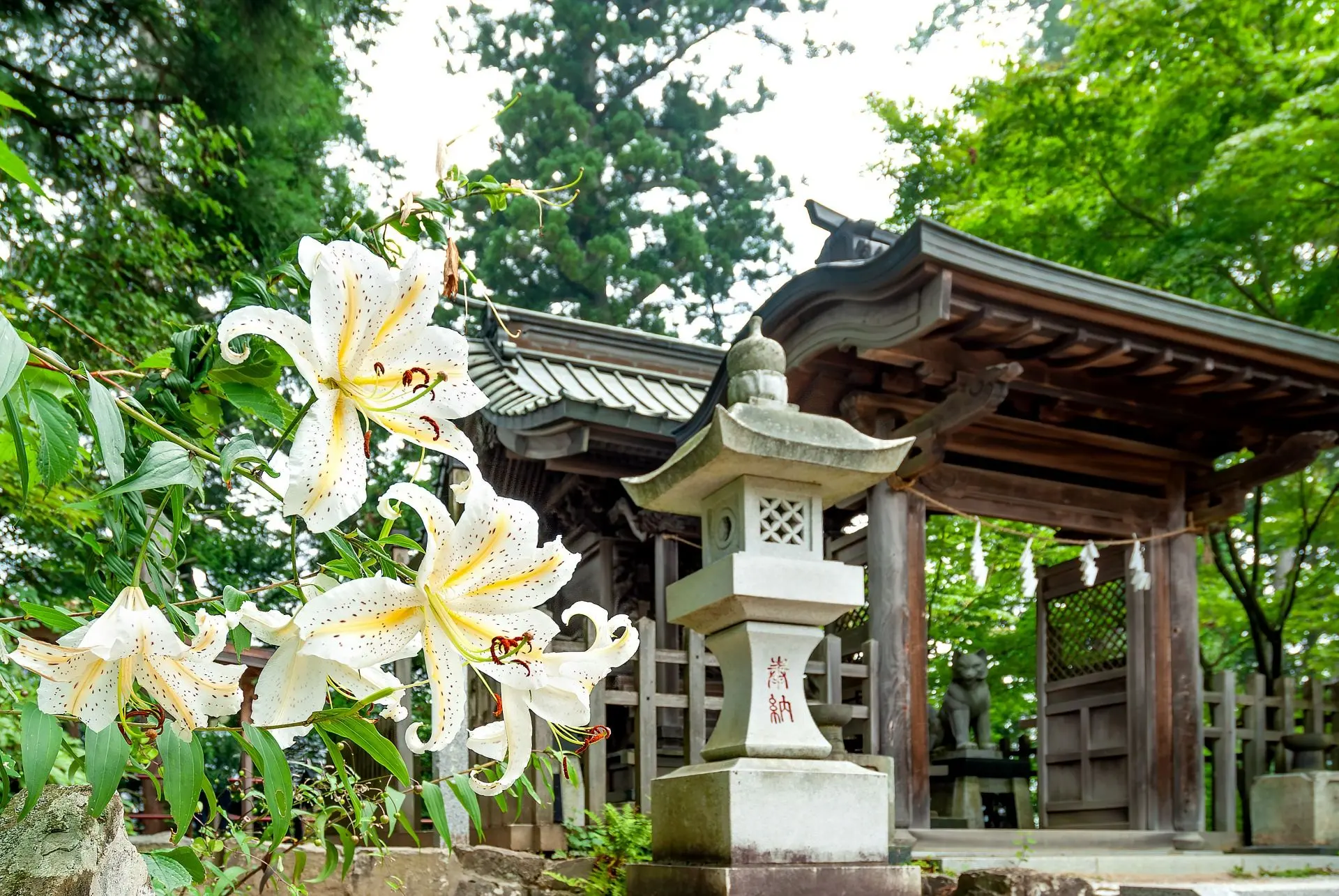 青梅市
